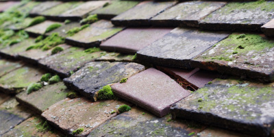 Tewes roof repair costs